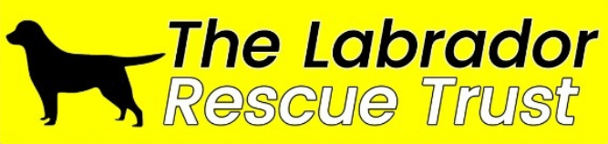 The Labrador Rescue Trust