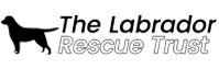 Labrador Rescue