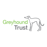 Greyhound3