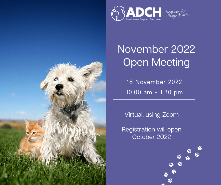 November Open Meeting (1)