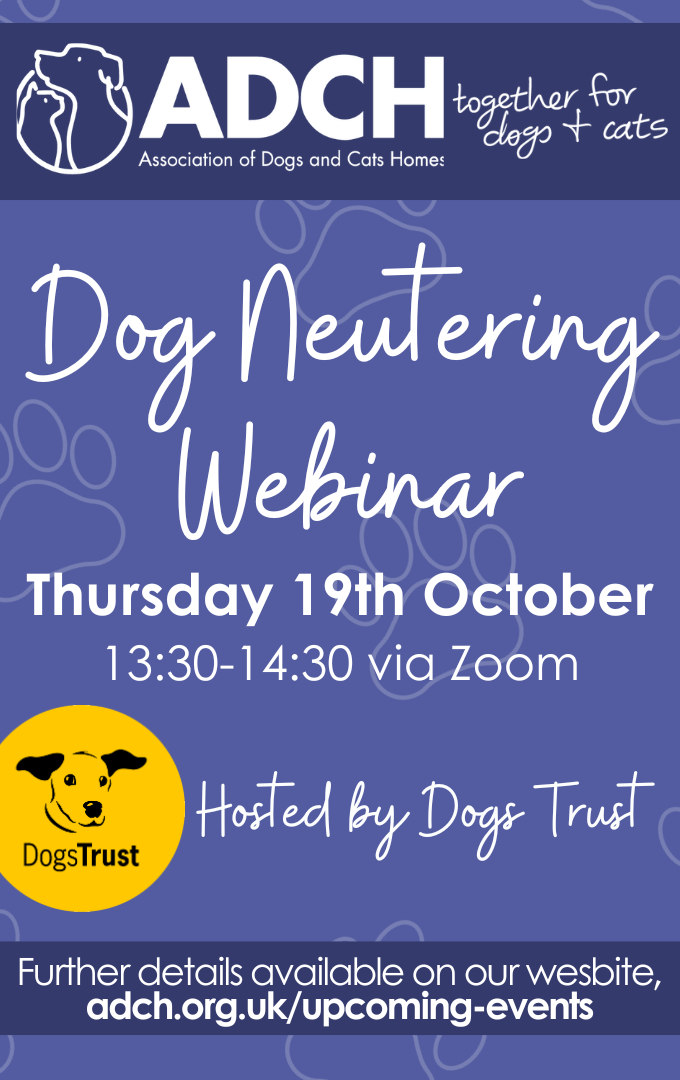 Dog Neutering – An overview of the latest evidence of what should be ...