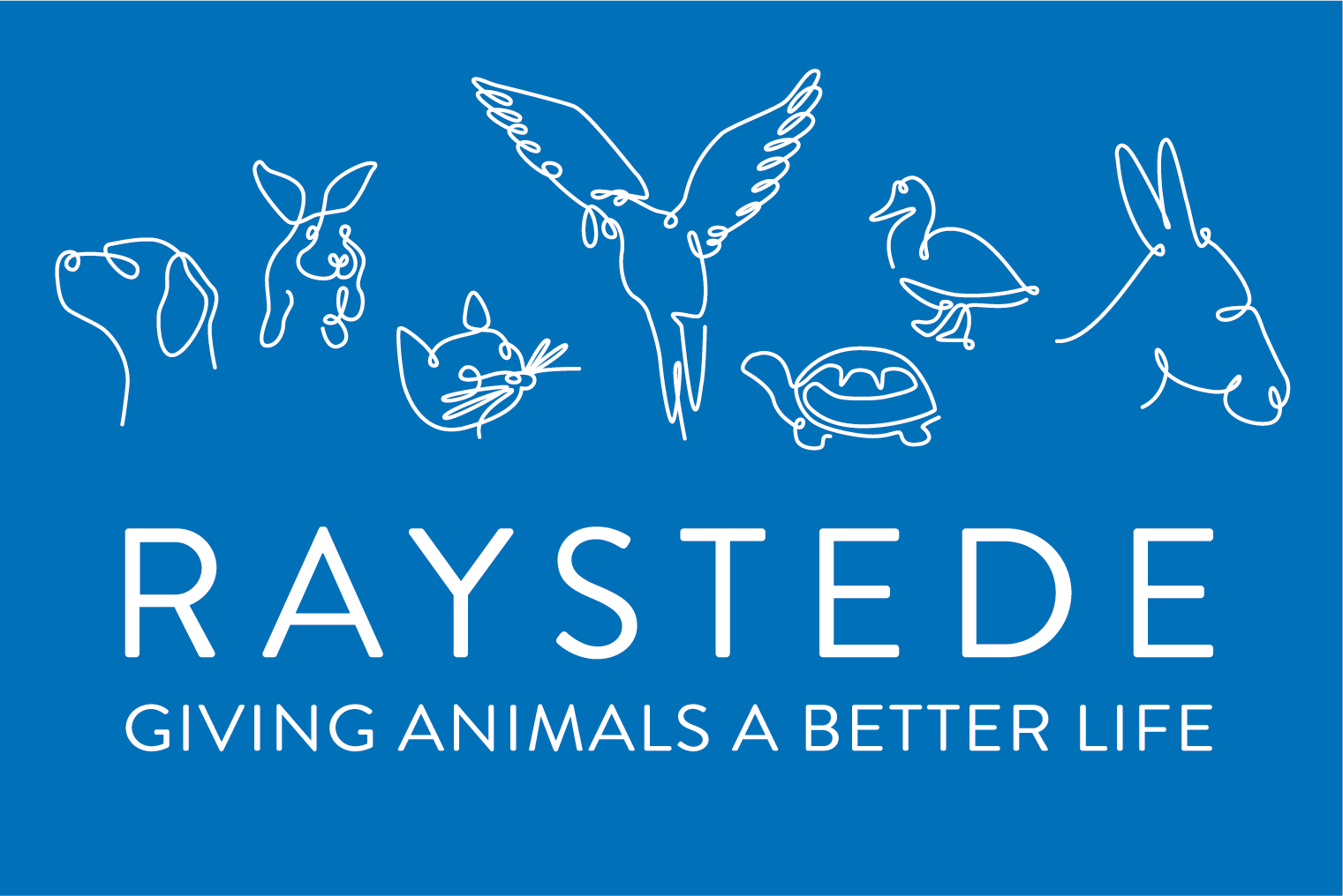 Raystede Logo Regular White On Blue