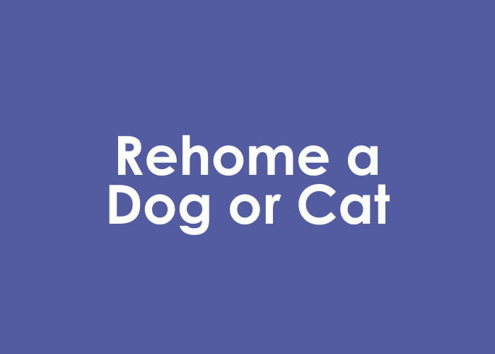 Rehome