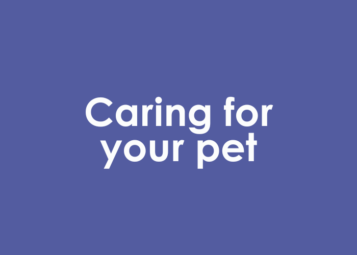 Your Pet