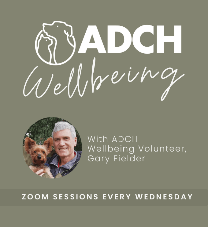 Adch Wellbeing Sessions Website (2)