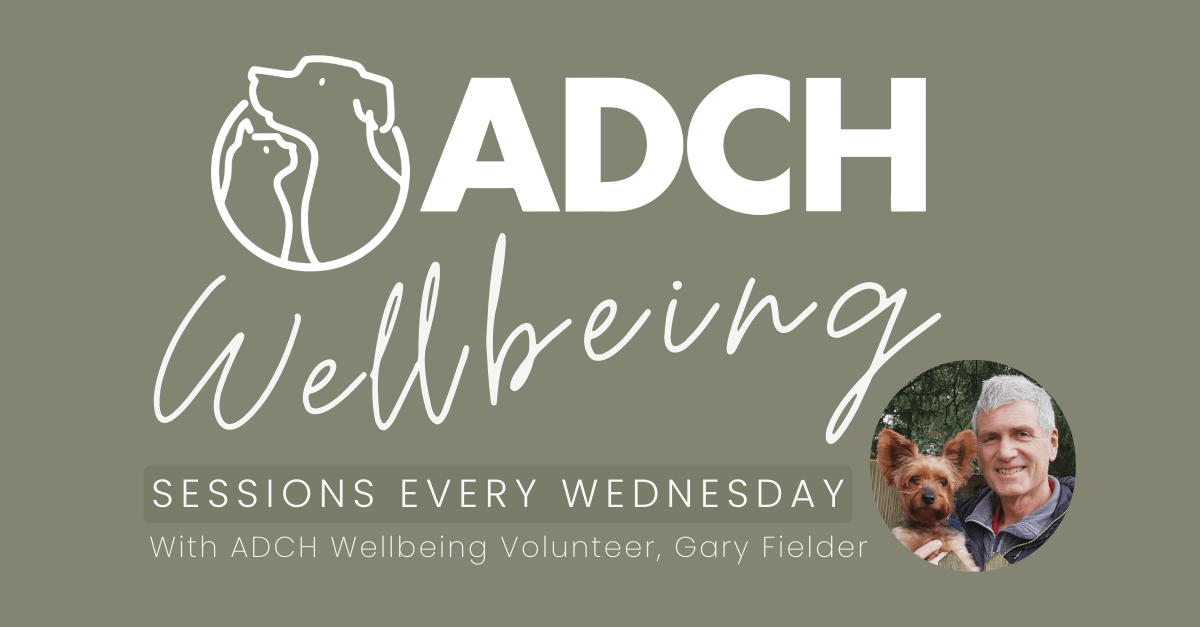 Adch Wellbeing Sessions Graphic