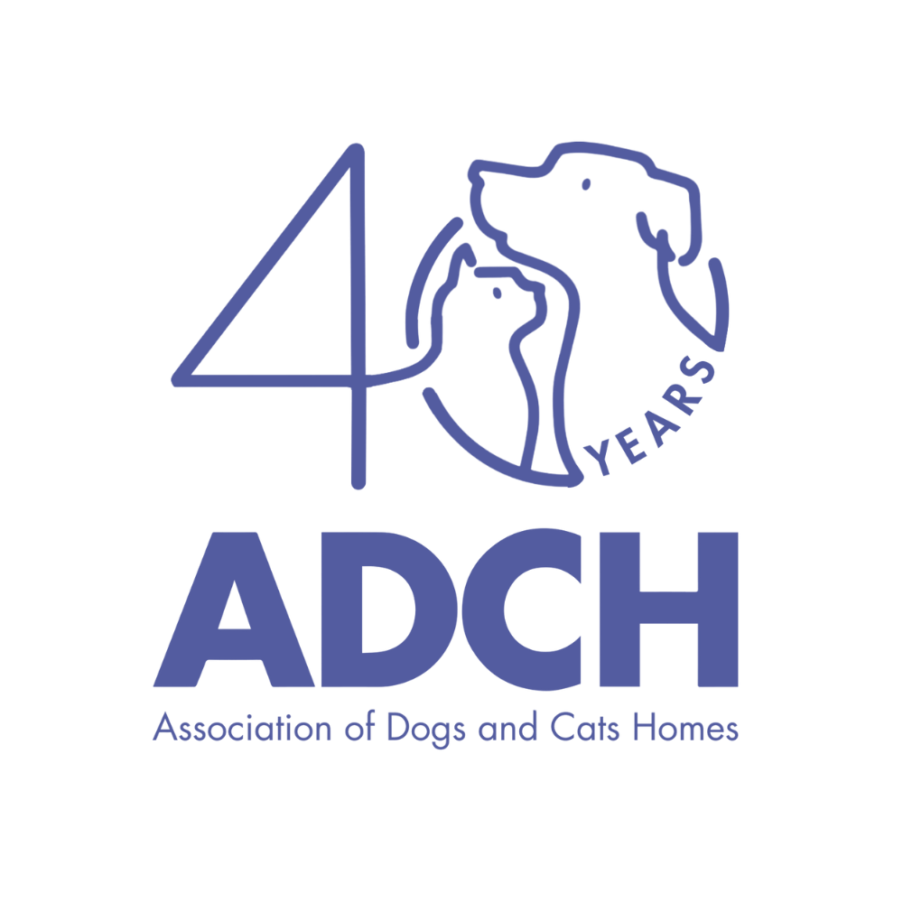 Adch 40 Years Logo