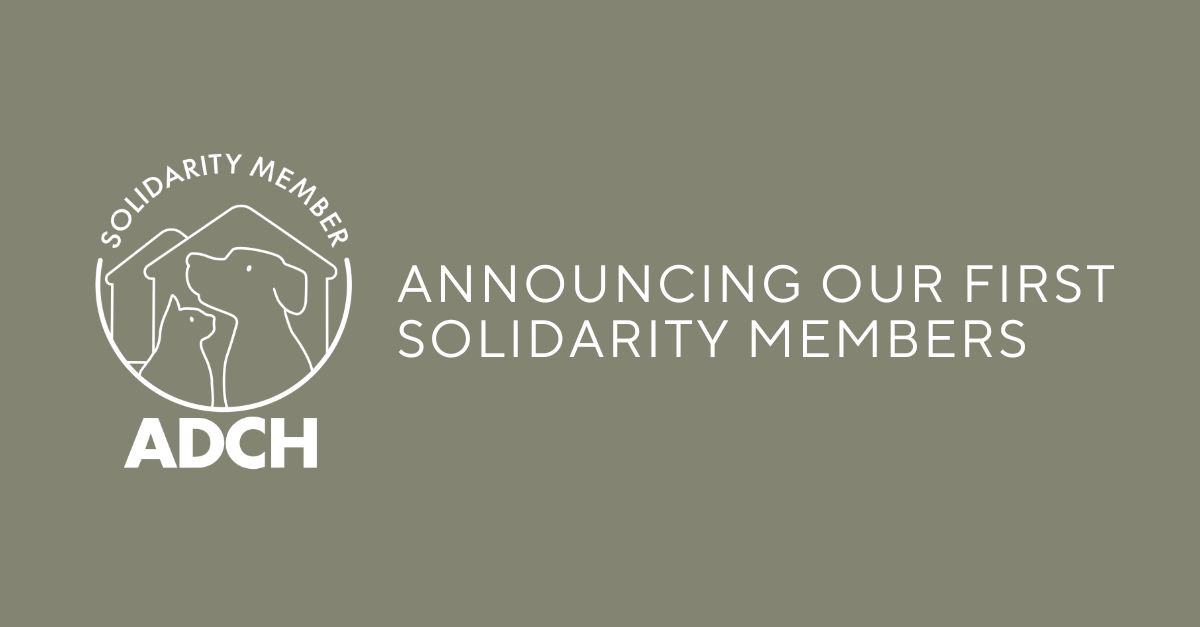 Solidarity Announcement Website