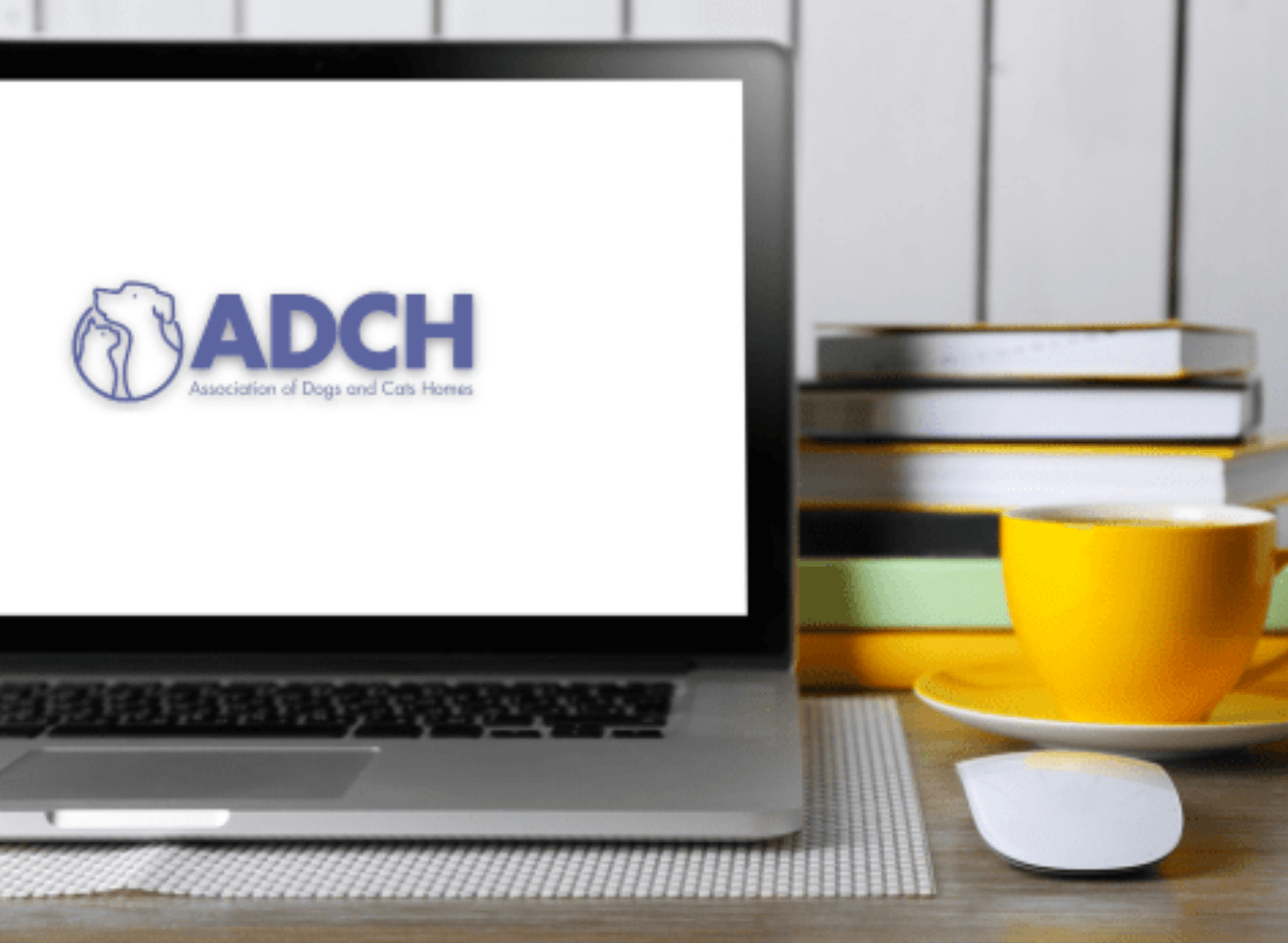 Adch Volunteer Role