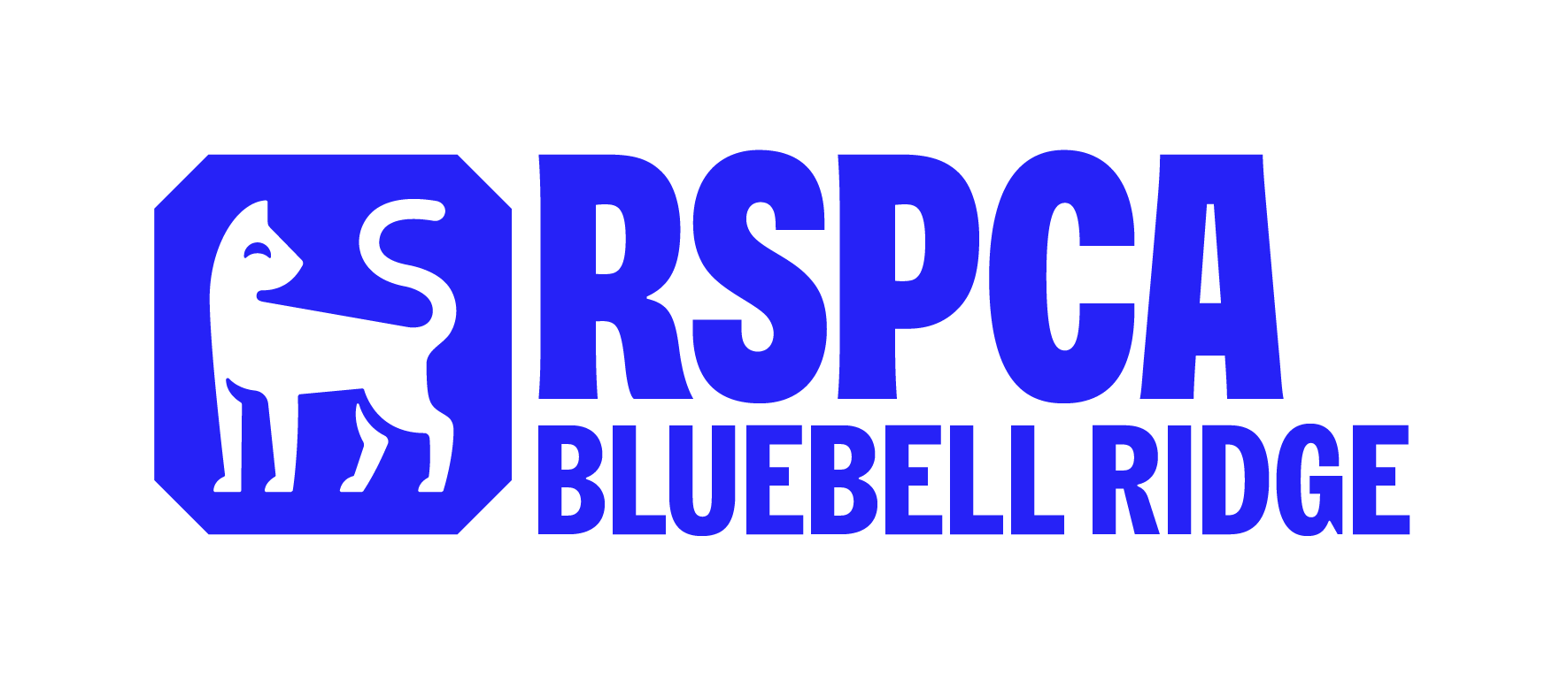 Rspca Sussexeast Stacked Cat Digital Known Blue