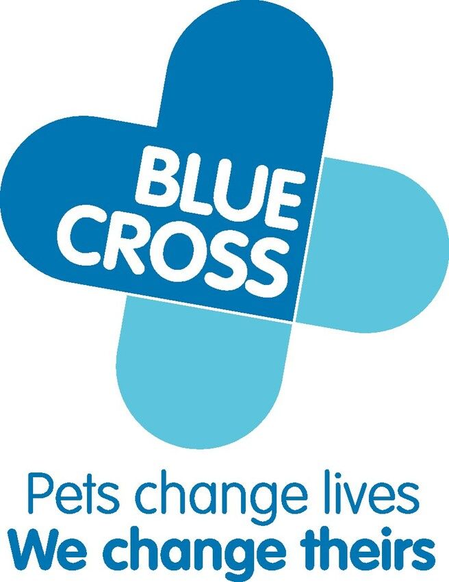 Blue Cross Logo