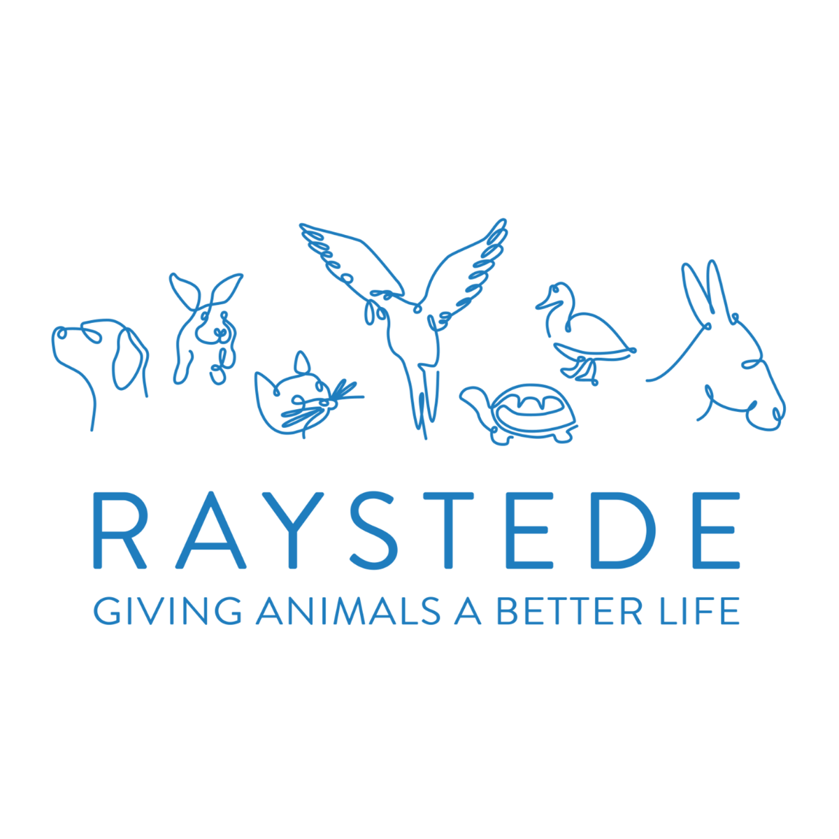 Raystede Volunteer Button Website