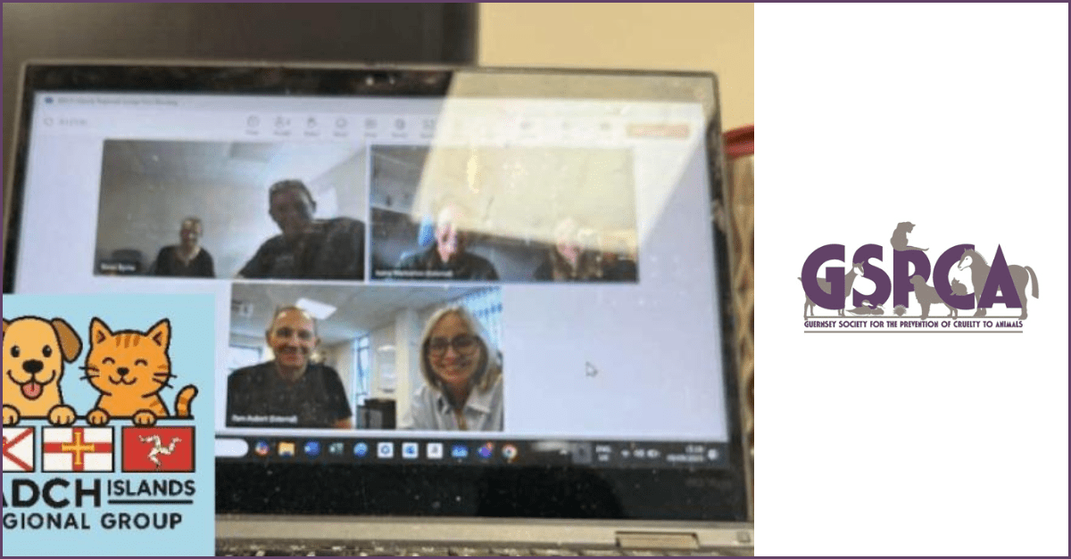 Adch Island Regional Group Hits News