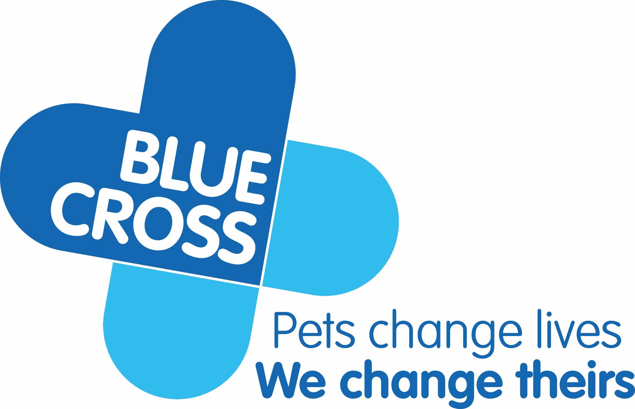 Bx154387 Bx Logo Strapline L Rgb4