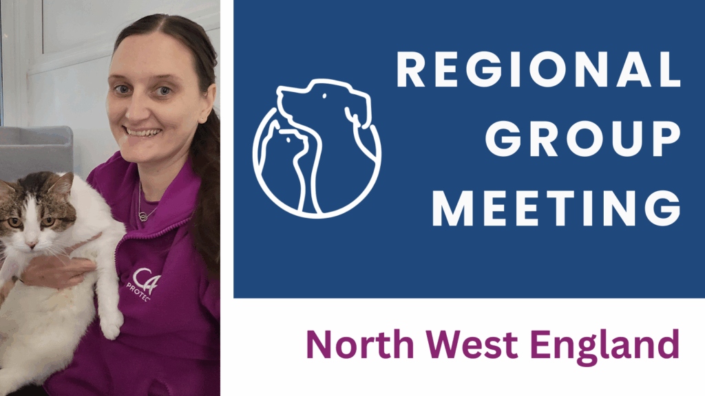 Nw England Logo
