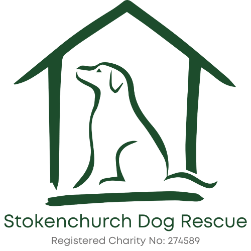 Sdr Logo Thumbnail Full1