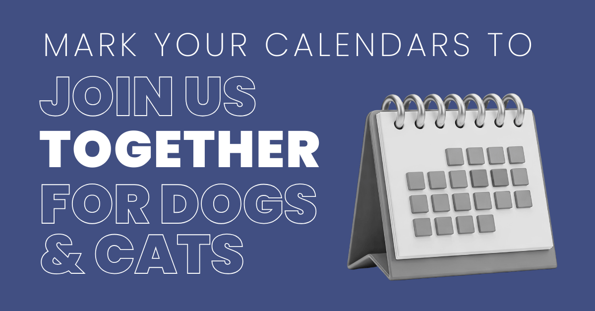 Adch Full Member Apps Open 012026