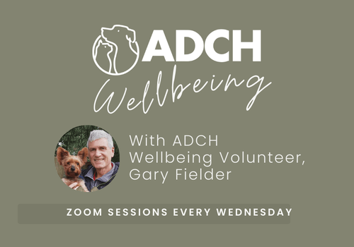 Copy Of Adch Wellbeing Sessions Website (500 X 350 Px)