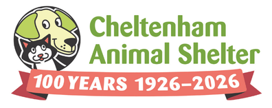 Email Signature 100 Years Logo