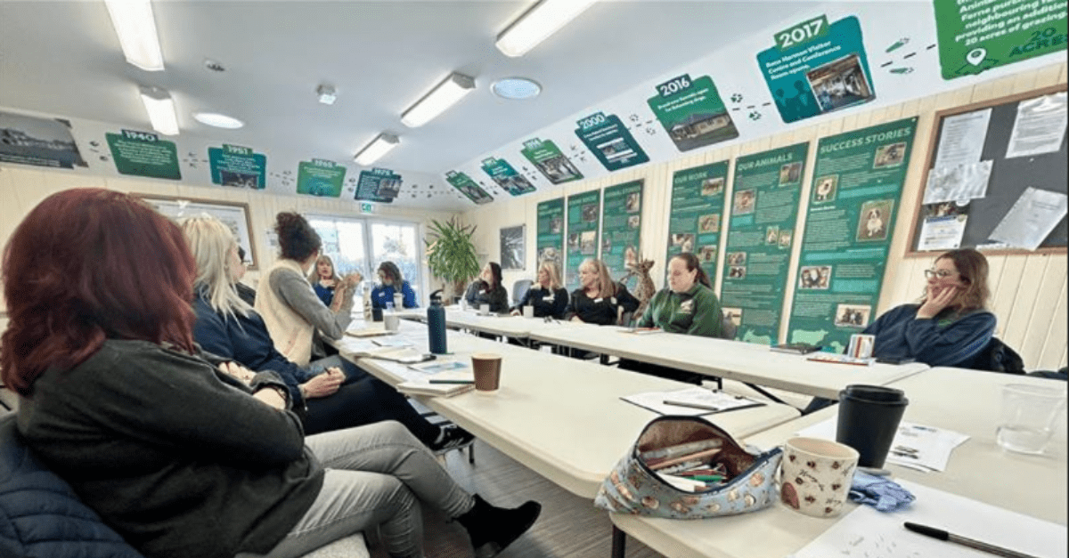 Untitled Design (39)