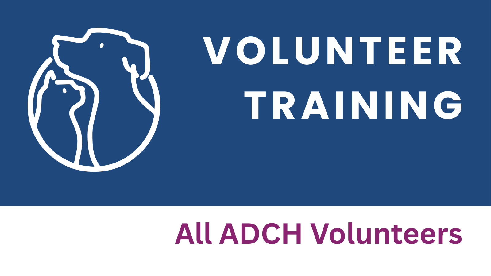 Volunteer Training