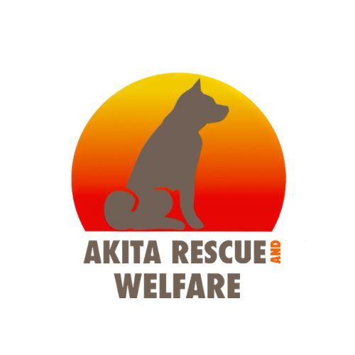 Whatsapp Image 2026 03 05 At 10.36.41