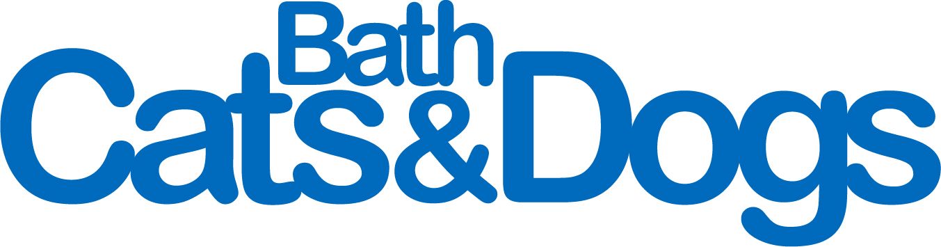 Bcad Logo Small Use