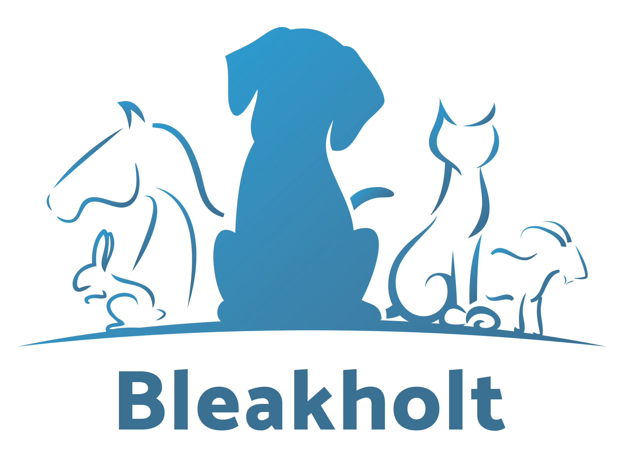 Bleakholt Small Logo Blue