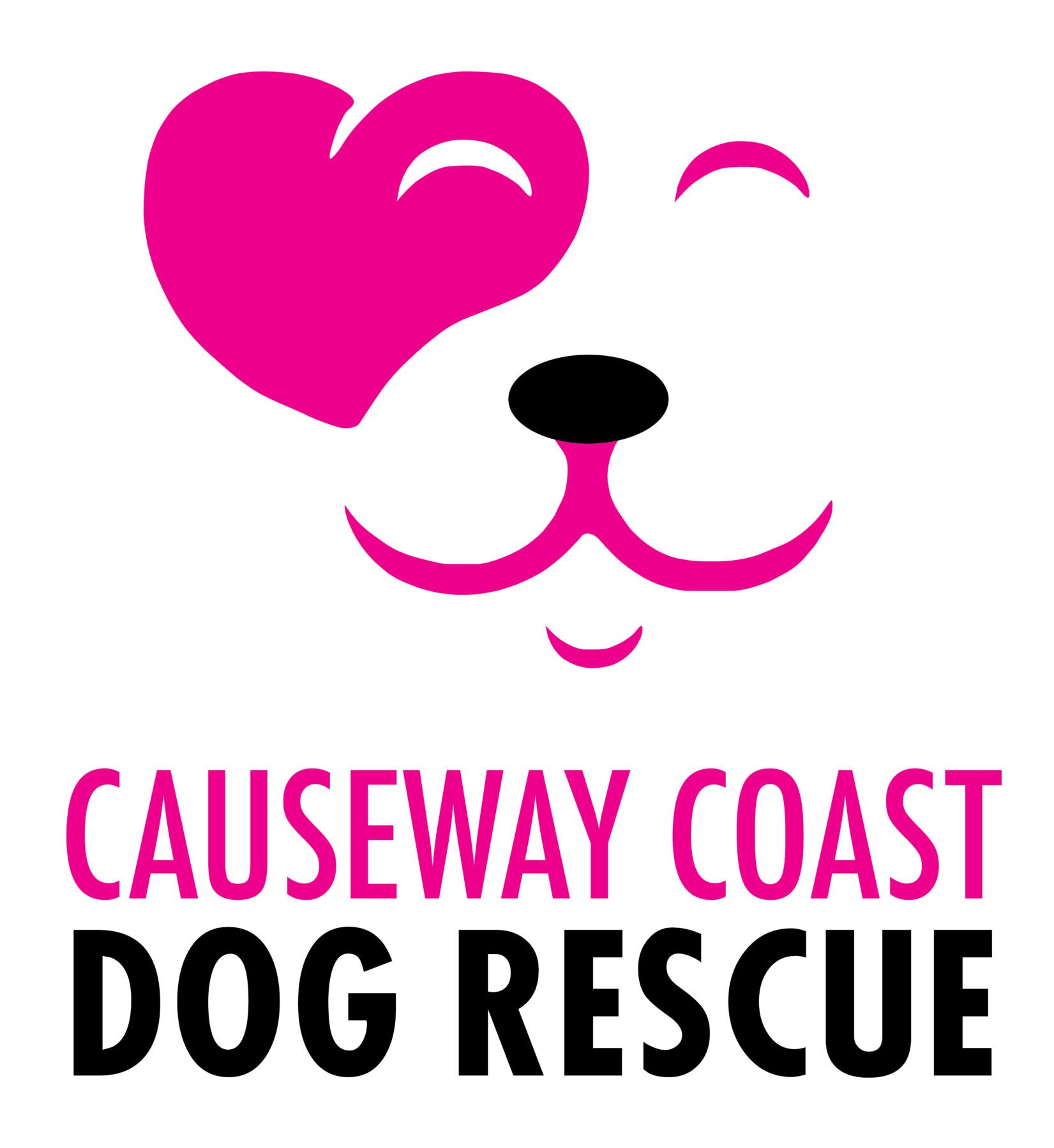 Ccdr Logo