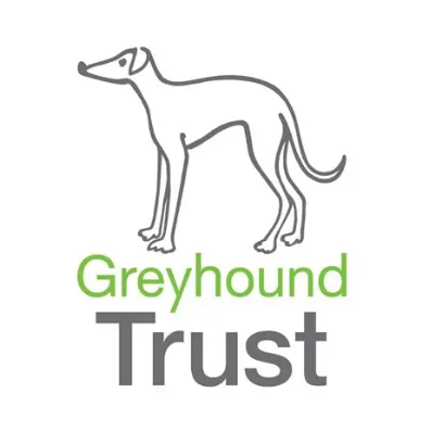 Gt Logo