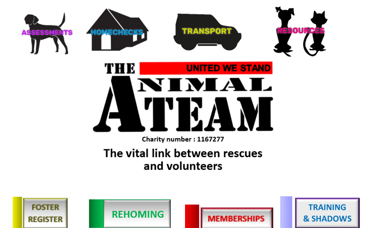 The Animal Team Logo