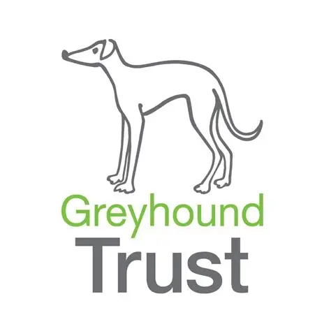 Gt Logo