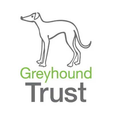 Gt Logo